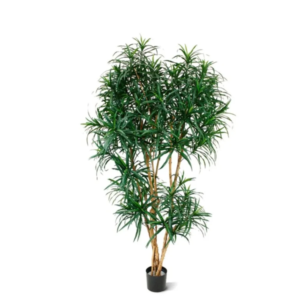 Kunstig Dracaena Reflexa H: 190 cm.