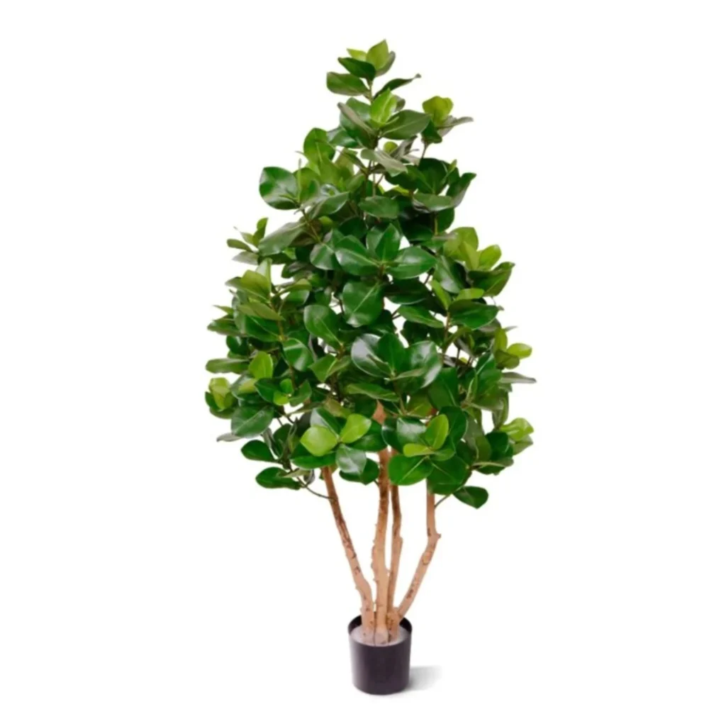 Kunstig Clusia H: 120 cm.