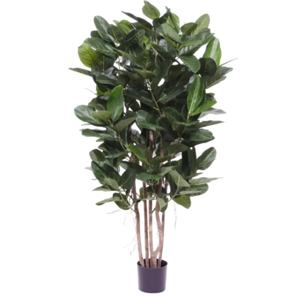 Kunstig Ficus Audrey H: 155 cm.