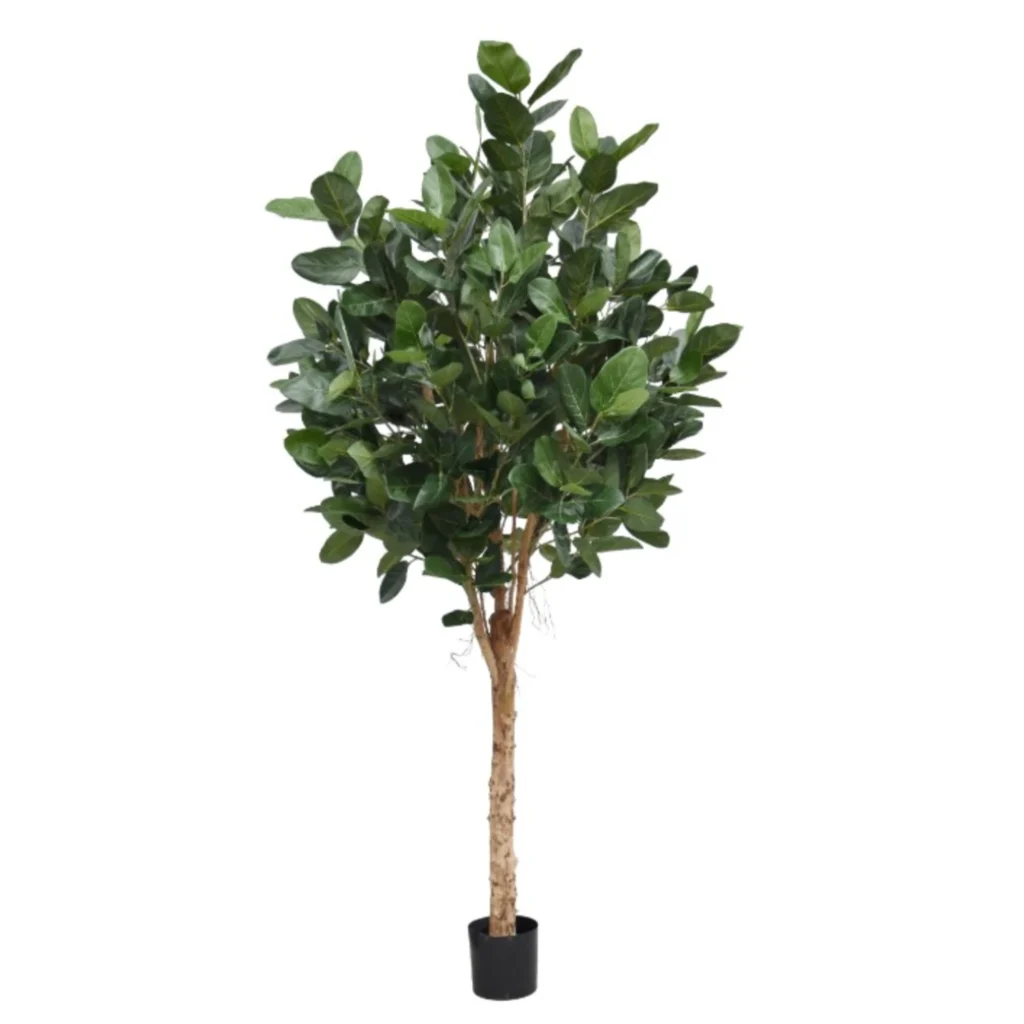 Kunstig Ficus Audrey H: 250 cm.