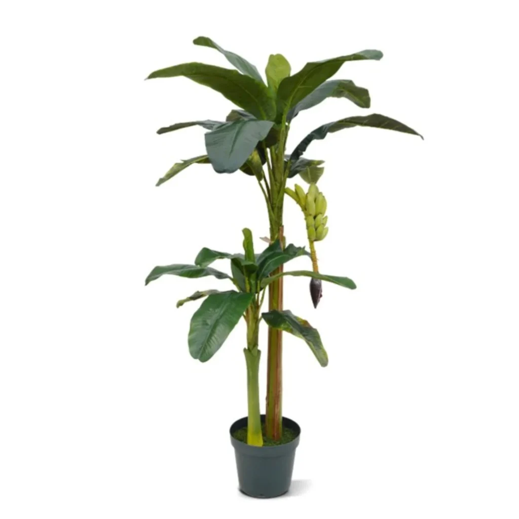 Kunstig Bananpalme H: 180 cm.