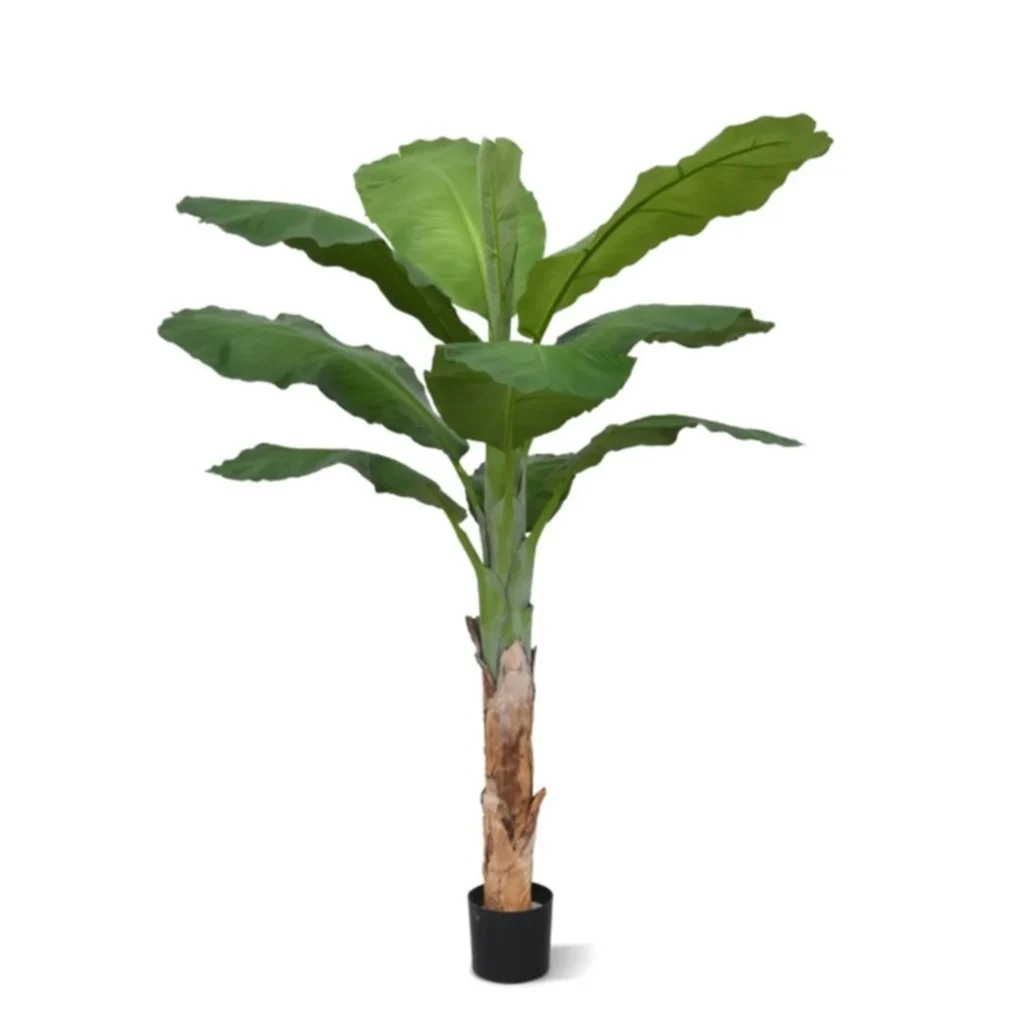 Kunstig Bananpalme H: 165 cm.
