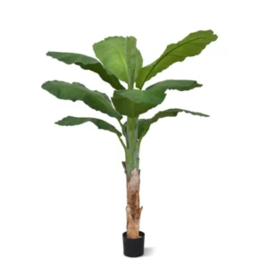 Kunstig Bananpalme H: 165 cm.