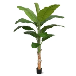 Kunstig Bananpalme H: 210 cm.