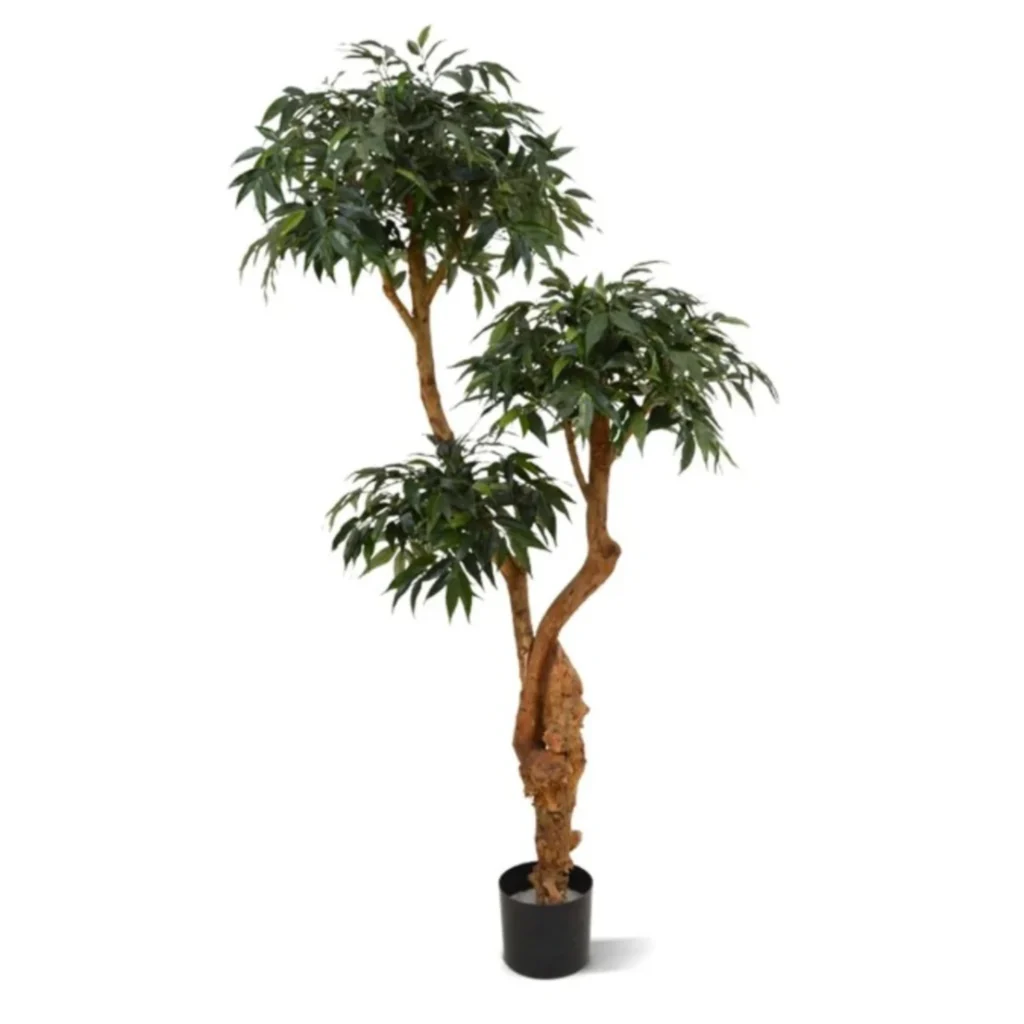 Kunstig Shirakashi Bonsai H: 160 cm.