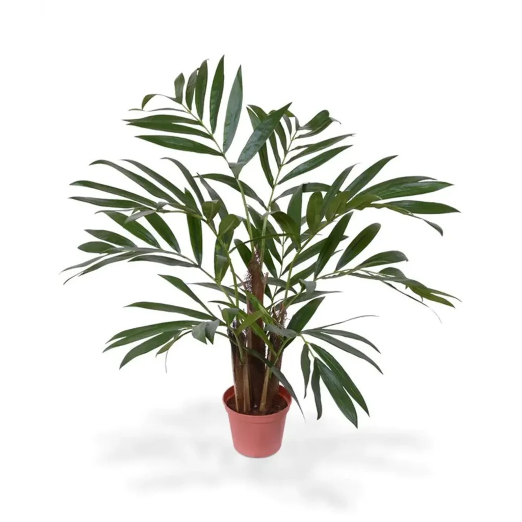Kunstig Chamaedorea palme - H: 65 cm.