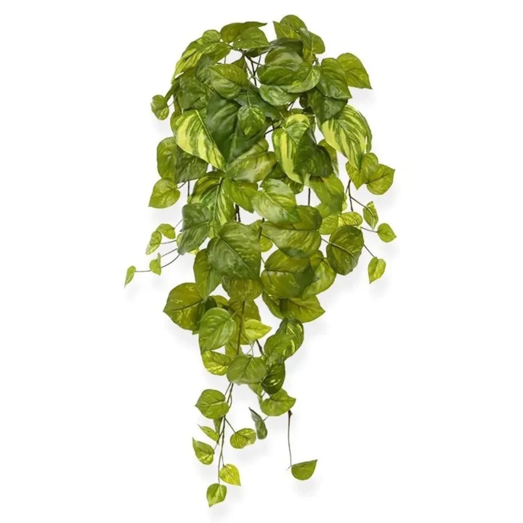 Kunstig pothos hænge L: 55 cm.