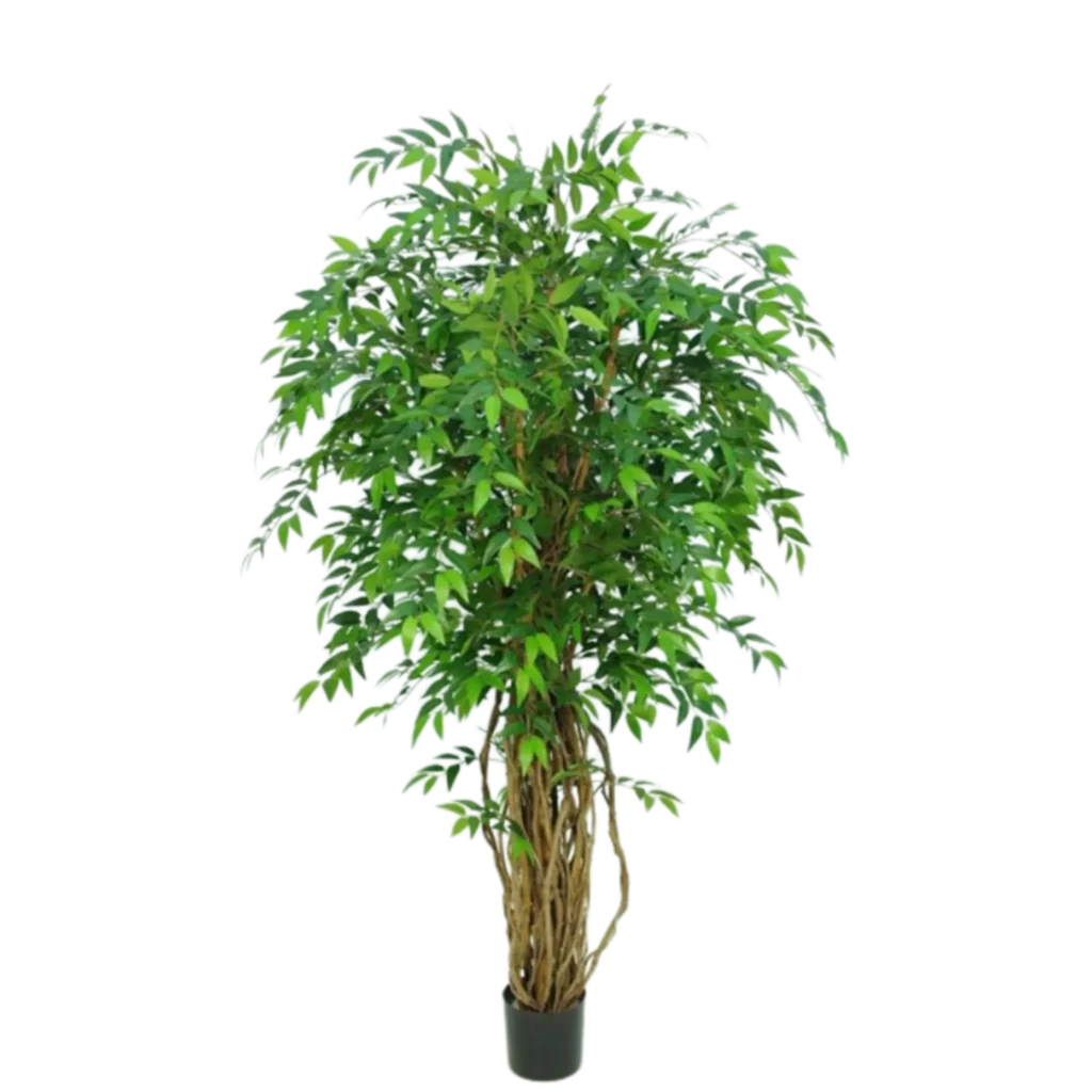 Kunstig Ficus Liana H: 170 cm.