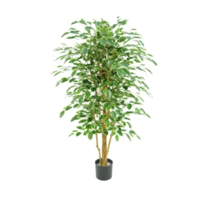 Kunstig Ficus Benjamina golden green H: 170 cm.