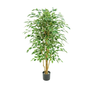Kunstig Ficus Benjamina golden green H: 200 cm.