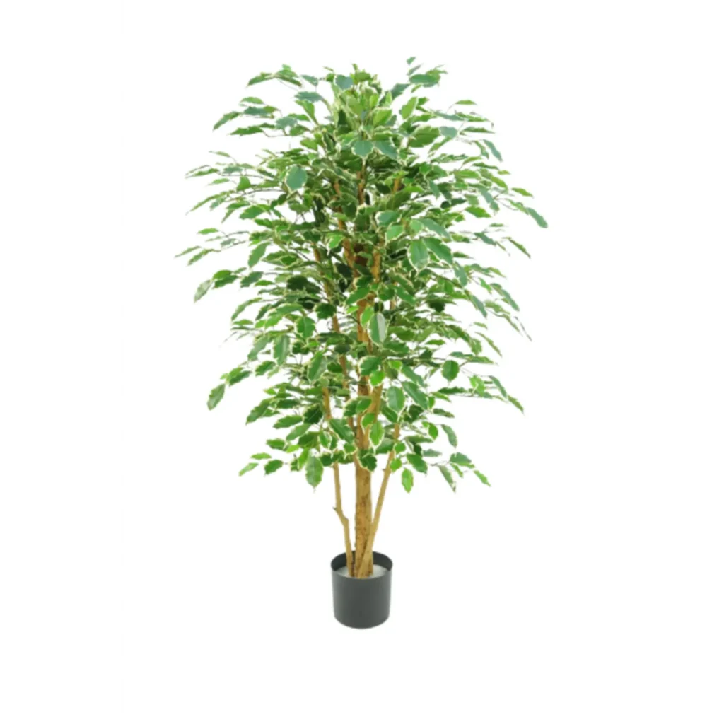 Kunstig ficus benjamina guld/grøn - H: 140.