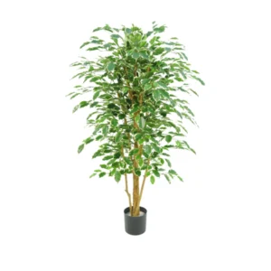 Kunstig ficus benjamina guld/grøn - H: 140.