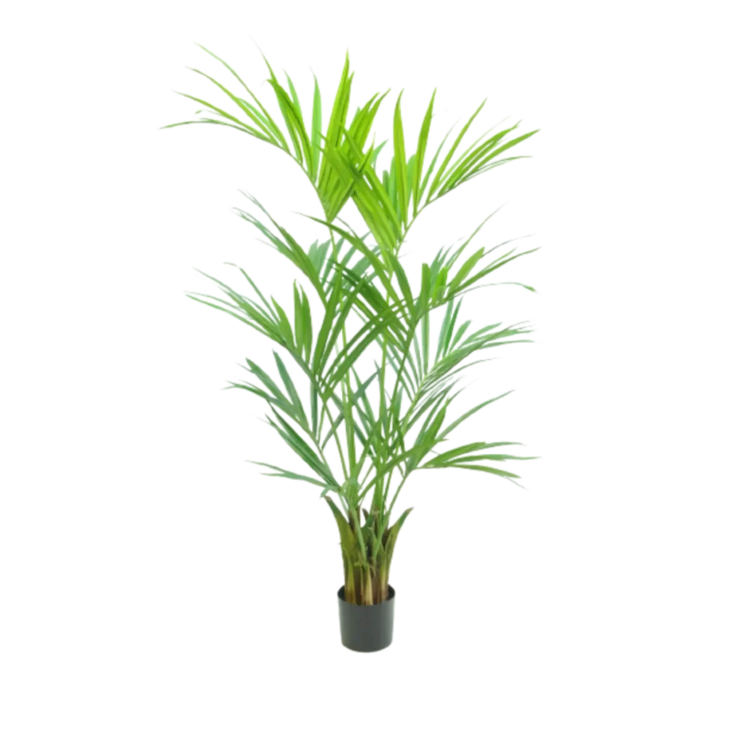 Kunstig Kentia palme H: 150 cm.