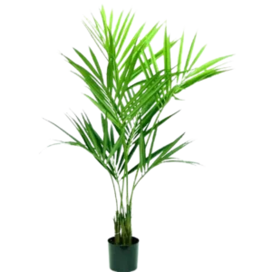 Kunstig kentia palme - H: 180 cm.