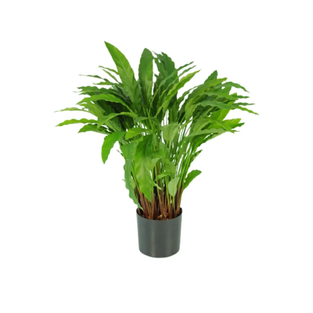 Kunstig Calathea H: 88 cm.