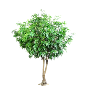 Kunstig Royal Longifolia FR H: 360 cm.