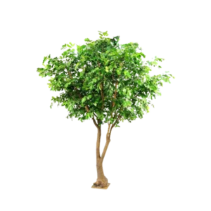 Kunstig Egetræ FR H: 360 cm.