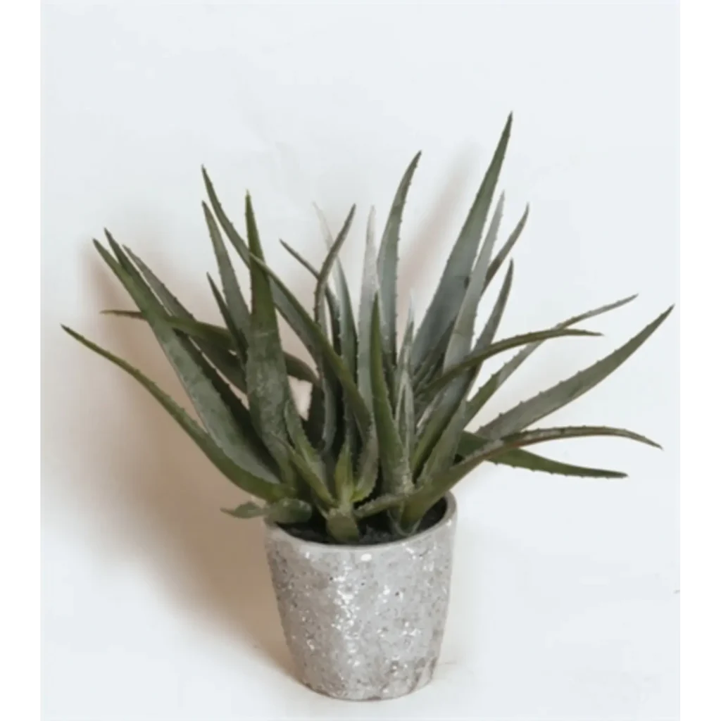 Kunstig aloe grøn - H: 40 cm.