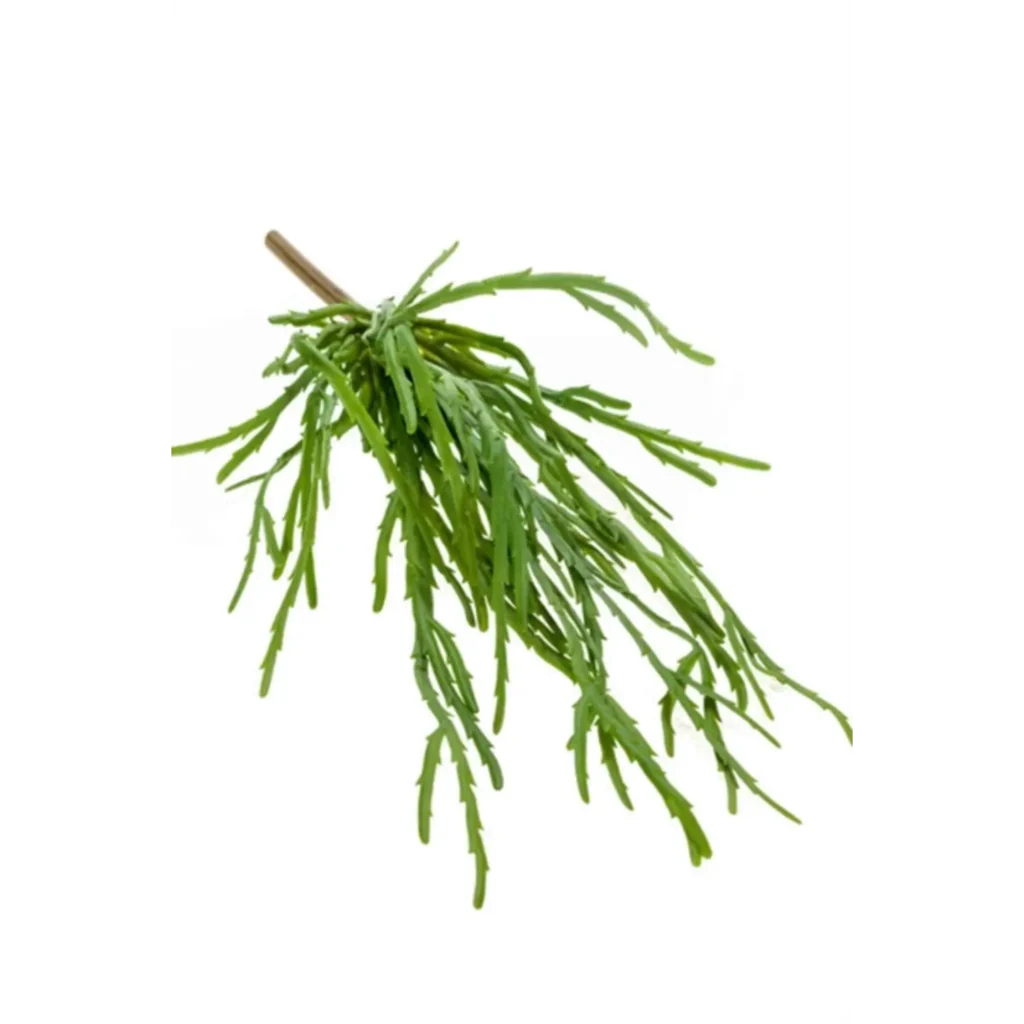 Kunstig Rhipsalis hængeplante L: 35 cm.