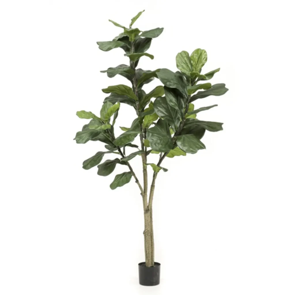Kunstig Violinfigen H: 180 cm.