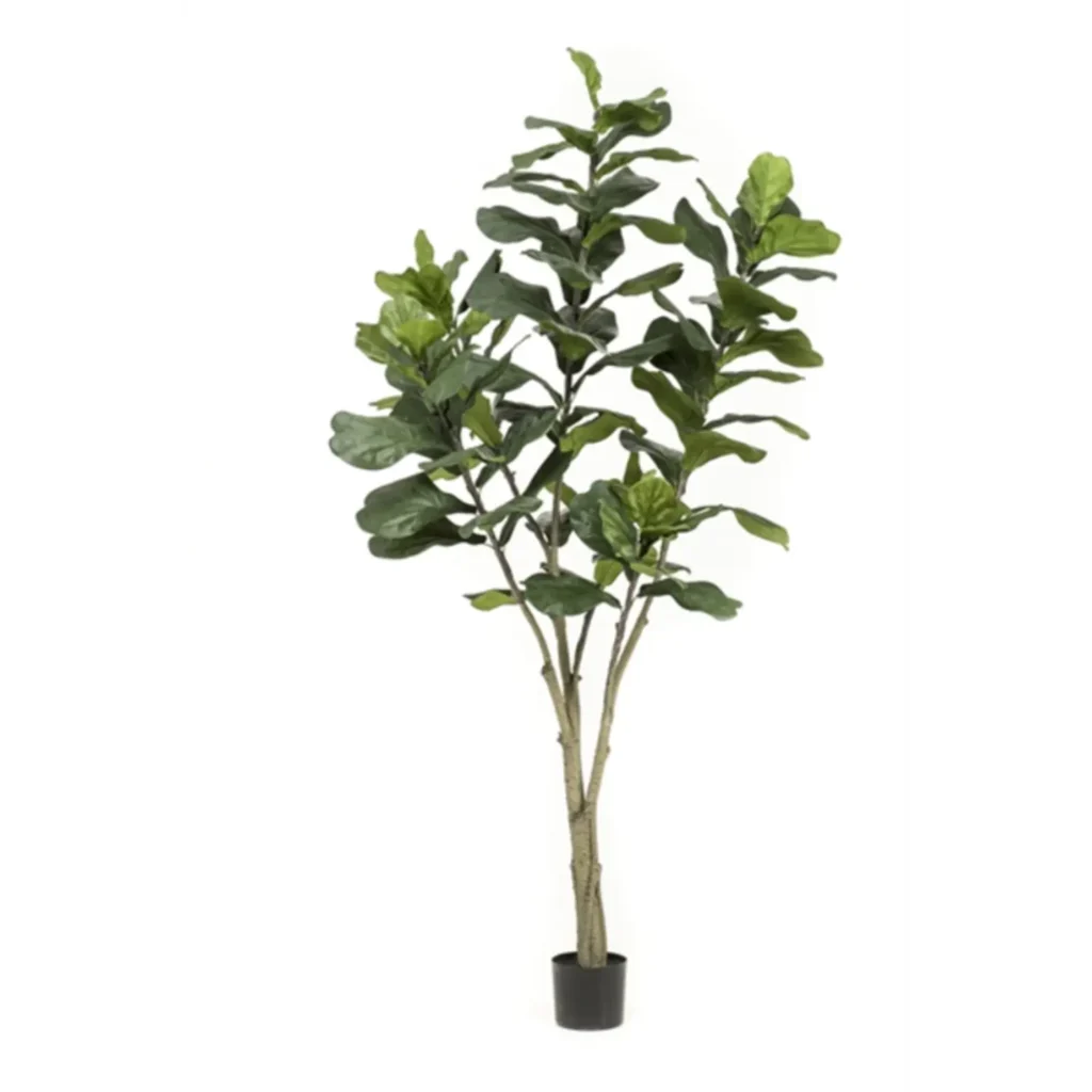 Kunstig violinfigen træ - H: 210 cm.
