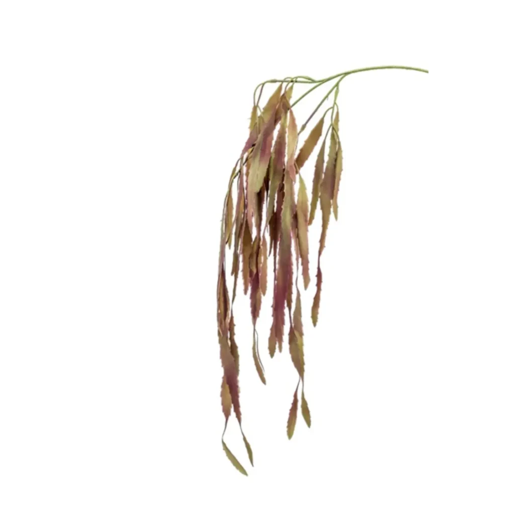 Kunstig Rhipsalis L: 35 cm.