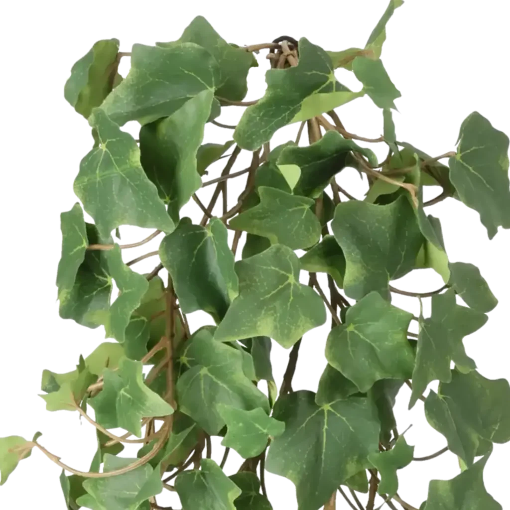 Closeup af Kunstig Efeu hængeplante FR L: 55 cm.