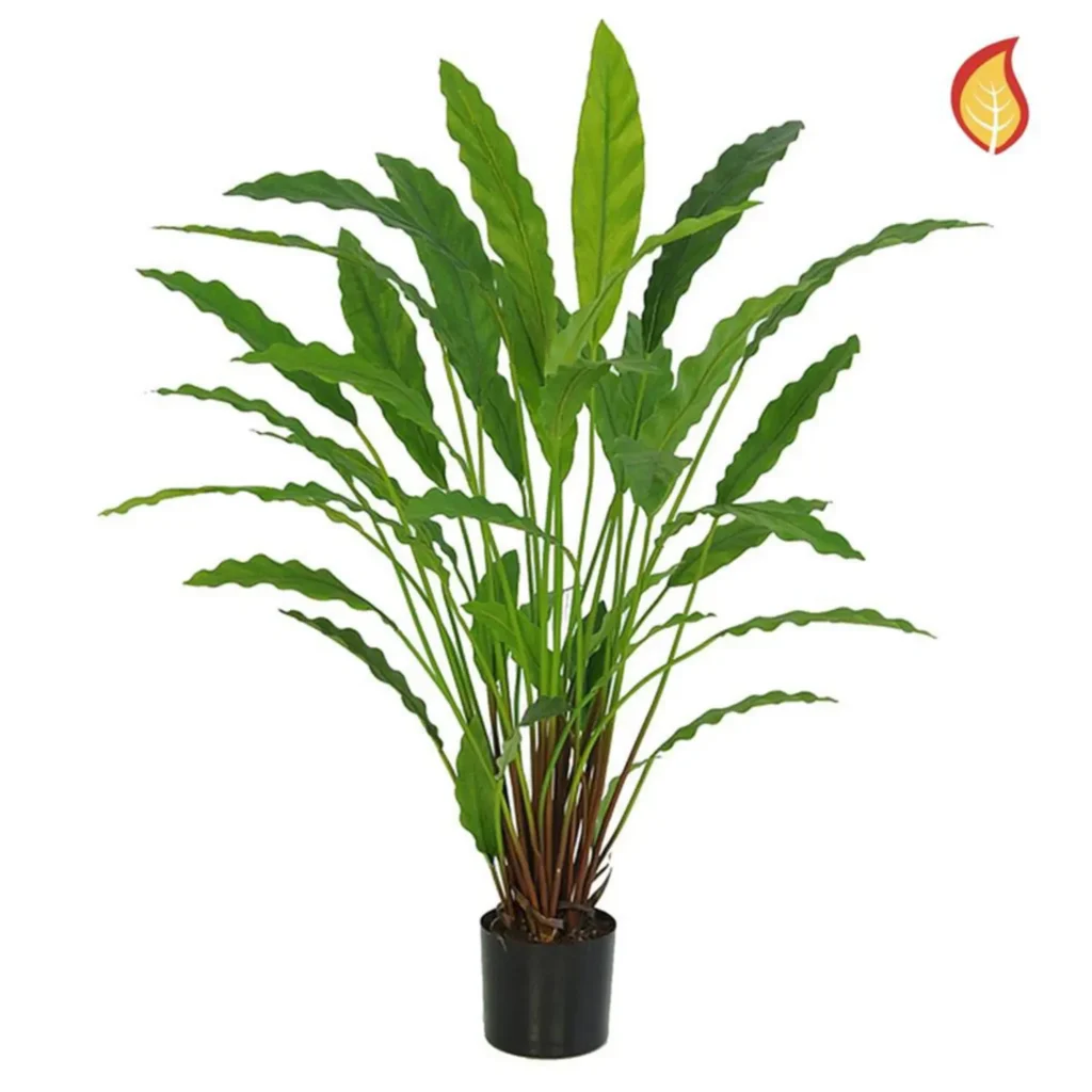 Kunstig Calathea FR H: 77 cm.
