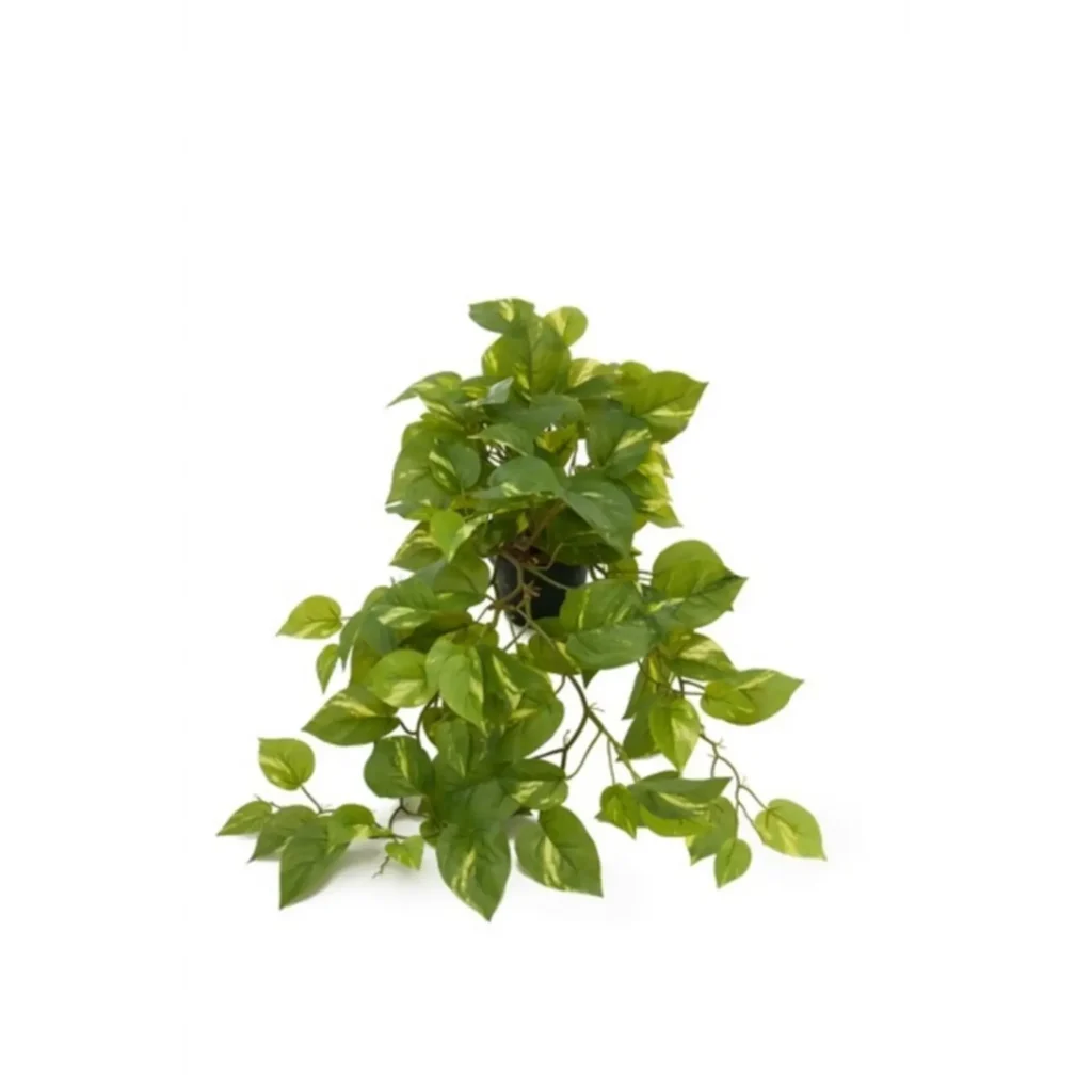 Kunstig Guldranke L: 55 cm.