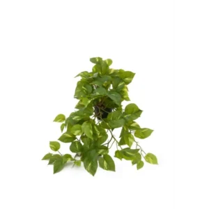 Kunstig Guldranke L: 55 cm.