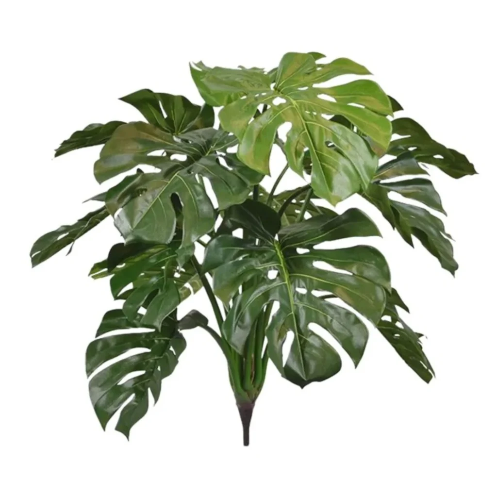 Kunstig Monstera Deliciosa Split H: 75 cm.