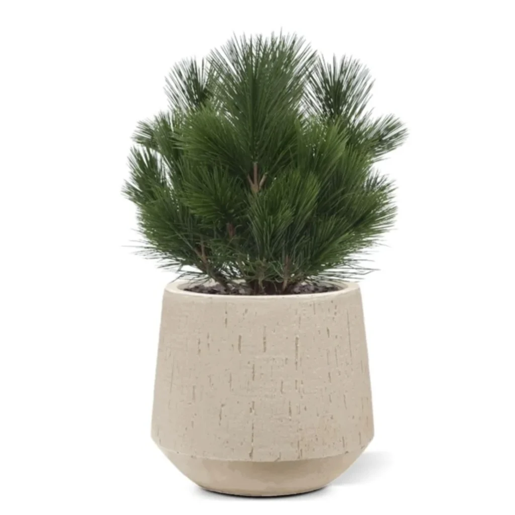 Kunstig Pinus kugle UV - H: 45 cm.
