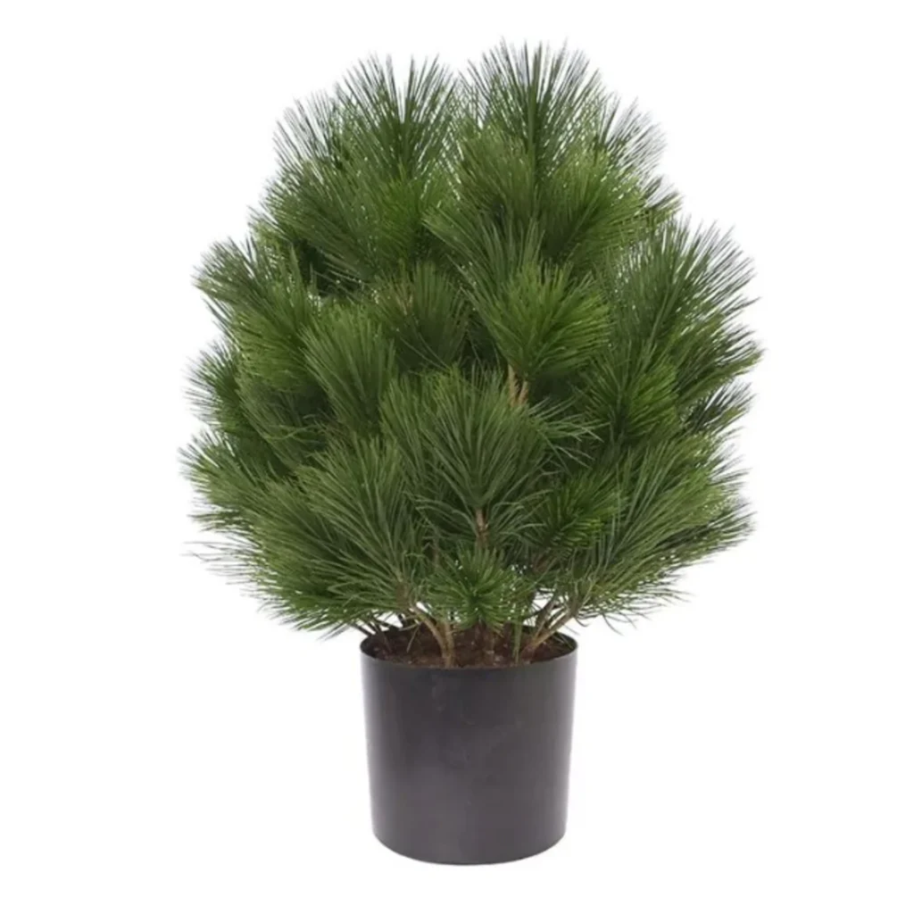Kunstig Pinus kugle UV - H: 60 cm.