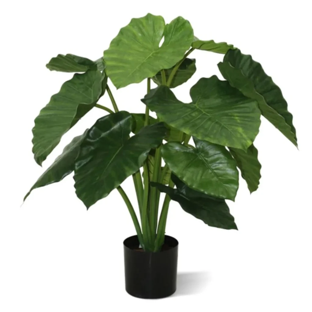 Kunstig Alocasia Calidora H: 80 cm.