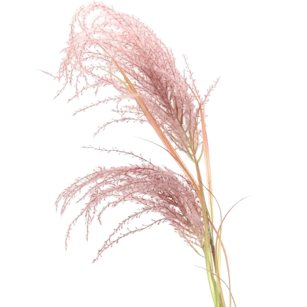 Closeup af Kunstig Pampas græs L: 135 cm.