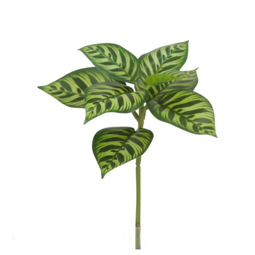 Kunstig Calathea H: 25 cm.