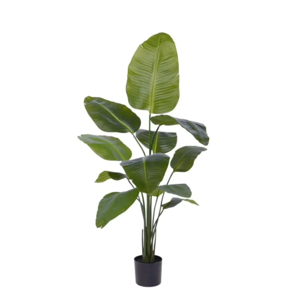 Kunstig Strelitzia H: 150 cm.