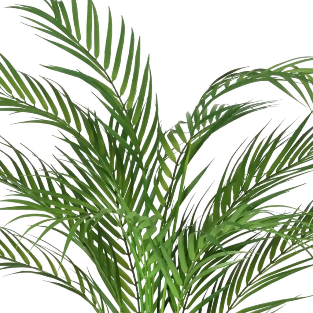 Closeup af Kunstig Areca palme H: 72 cm.