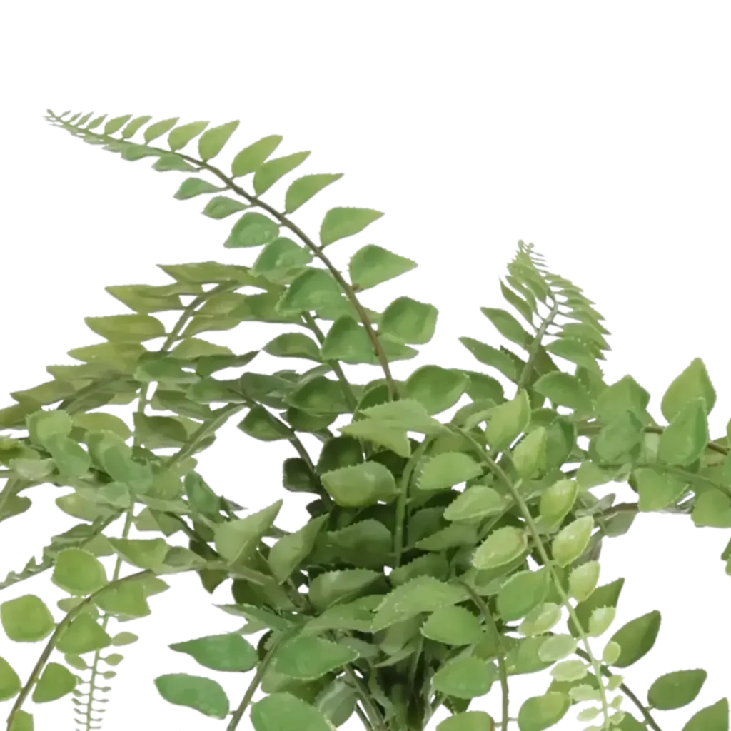 Closeup af Kunstig Bregne H: 50 cm.