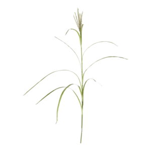Kunstig grøn Græs stilk - L: 120 cm.