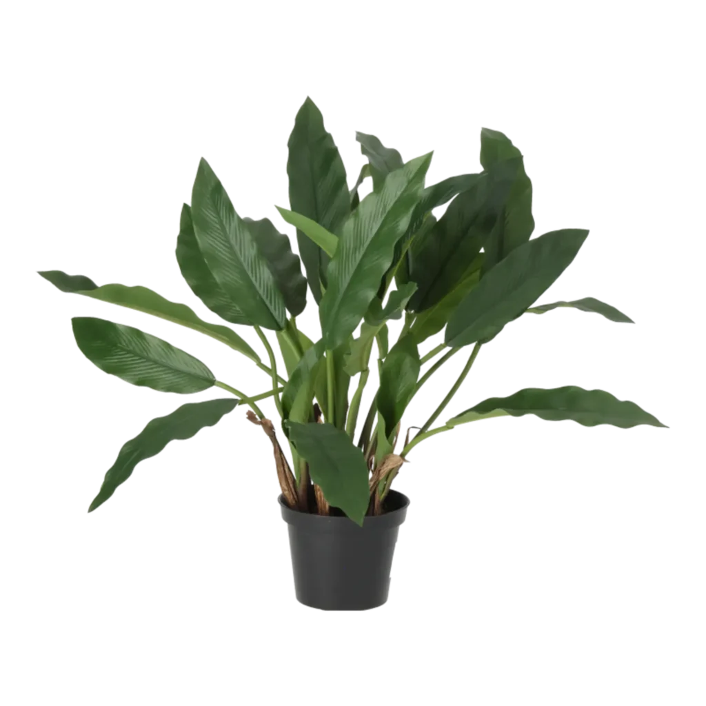 Kunstig Calathea H: 35cm.