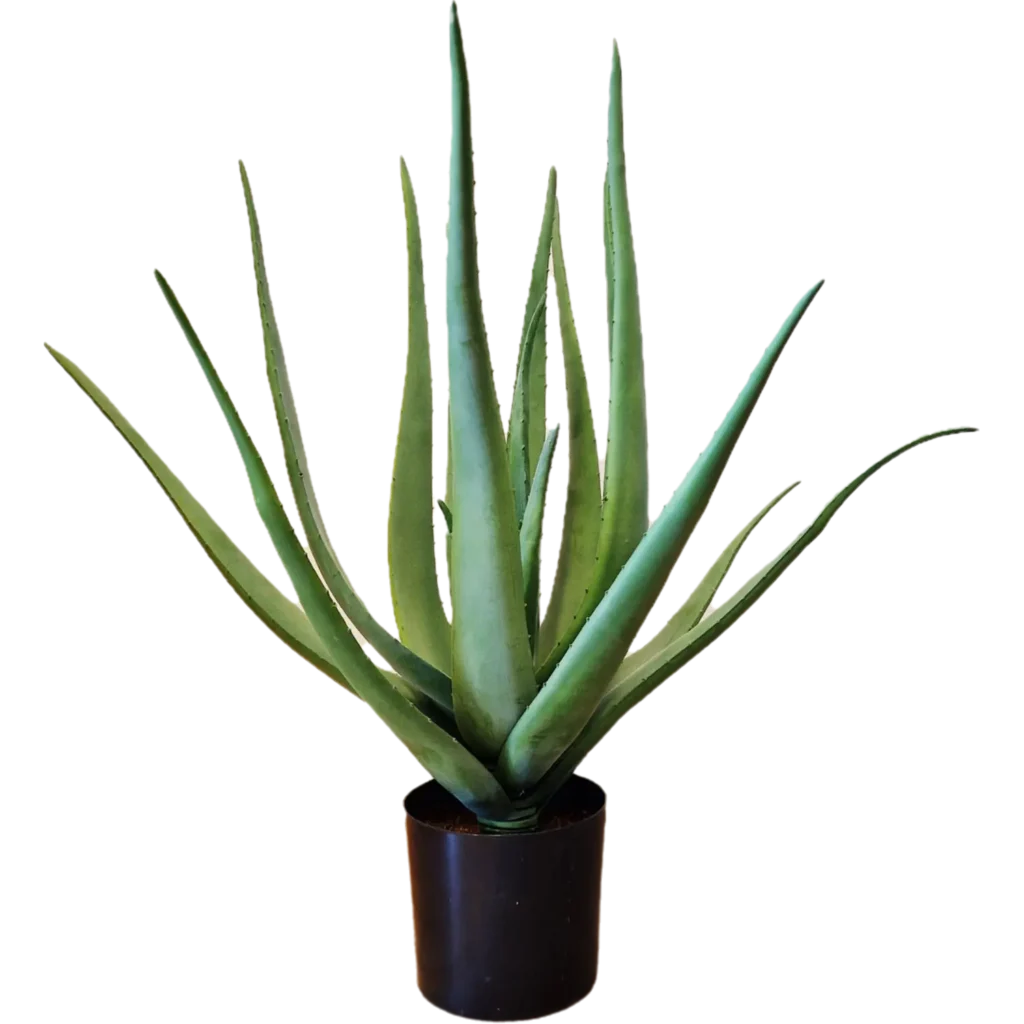 Kunstig Aloe Vera H: 58 cm.