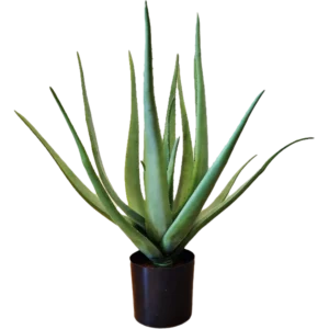 Kunstig Aloe Vera H: 58 cm.