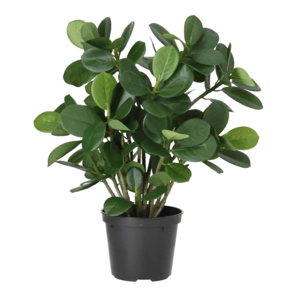 Kunstig ficus panda - H: 34 cm.