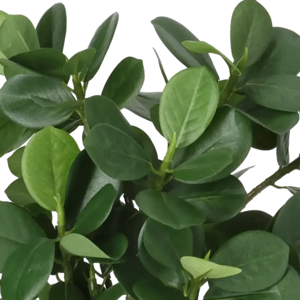 Closeup af Kunstig ficus panda H: 34 cm.