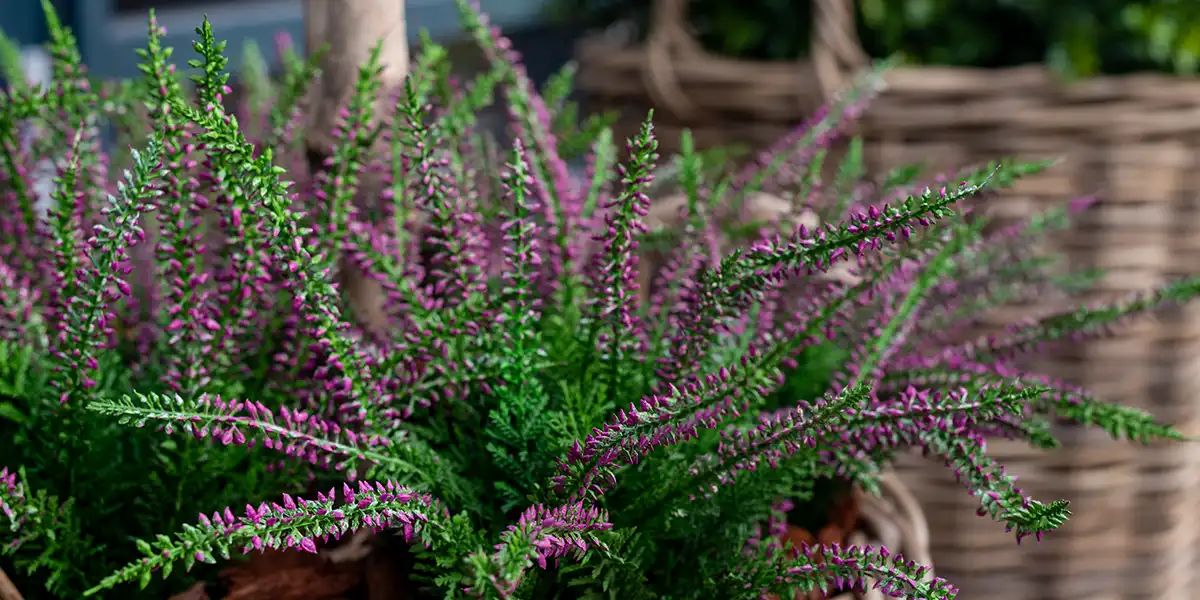 Fake kunstige blomster,