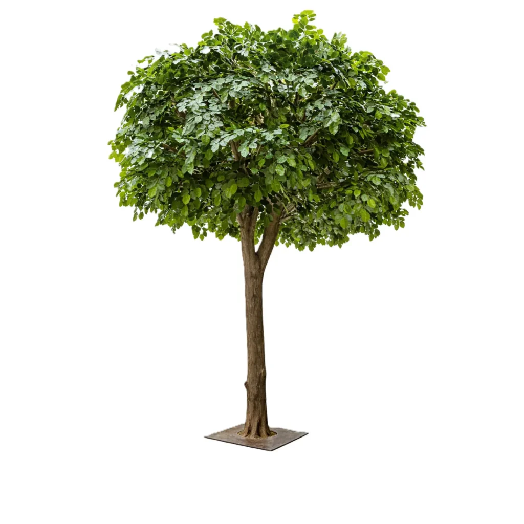 Kunstig Bøgetræ på ægte stammer H: 375 cm.