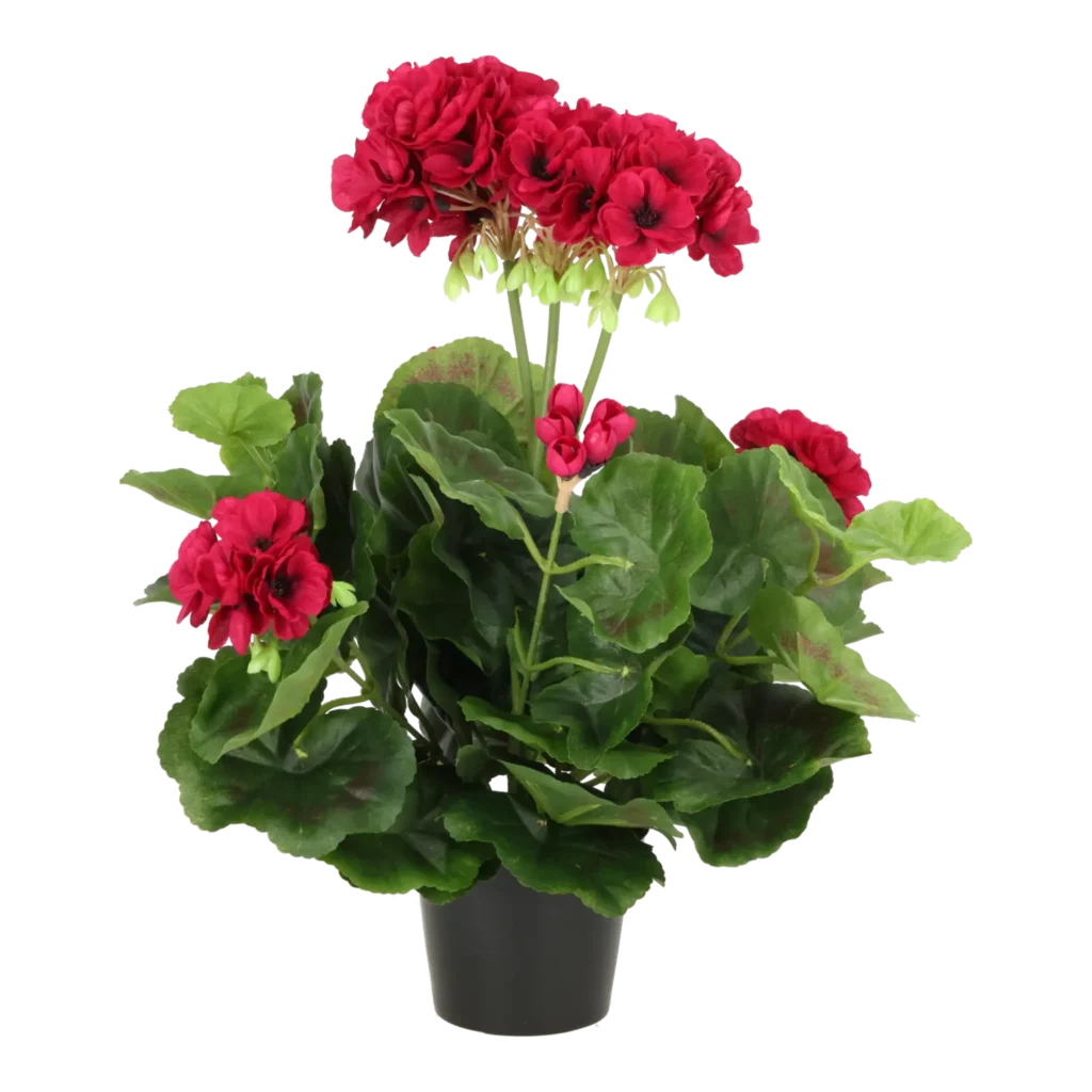 Kunstig pelargonie cerise - H: 35 cm.
