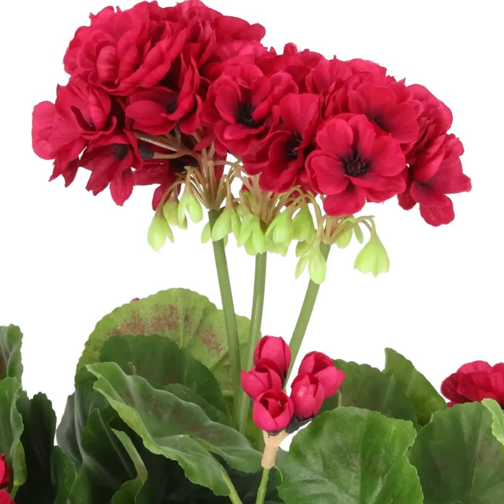 Closeup af Kunstig pelargonie cerise H: 35 cm.
