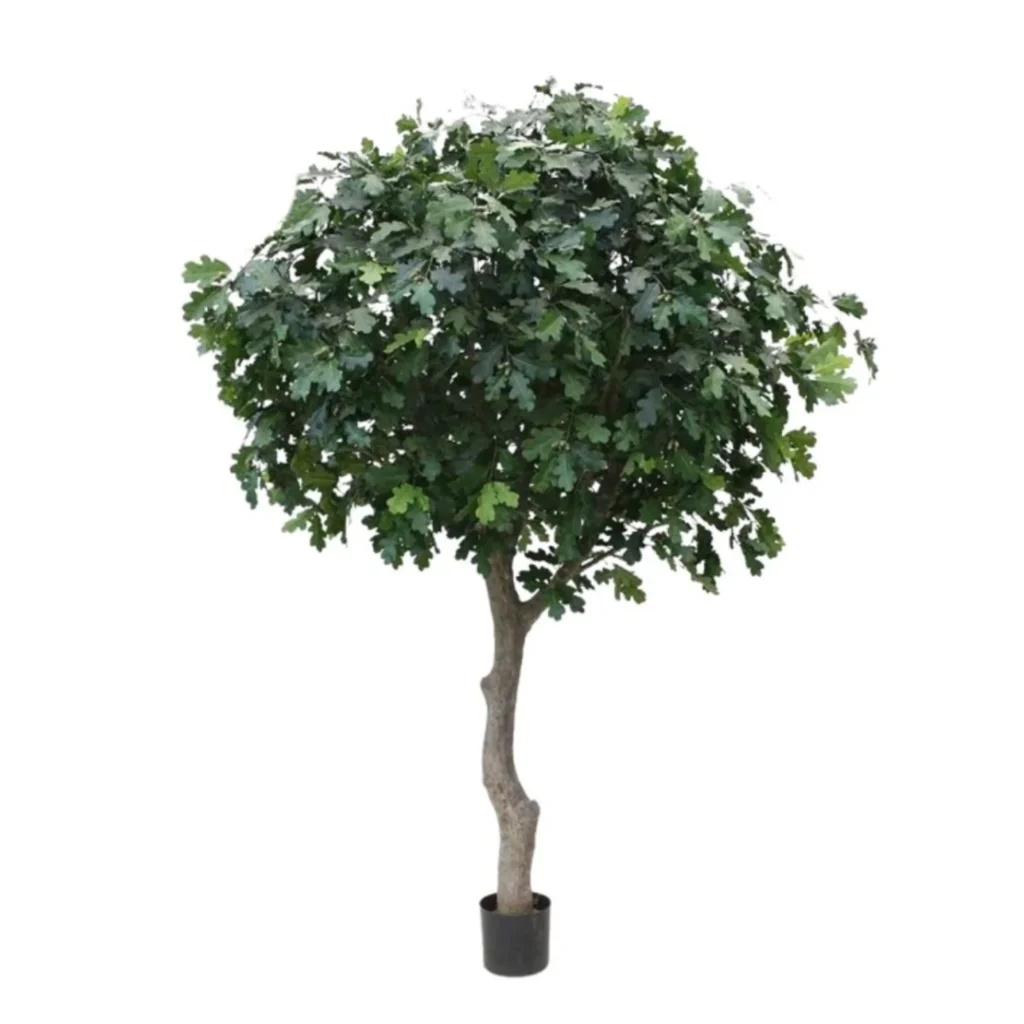 kunstigt egetræ H : 300 cm.